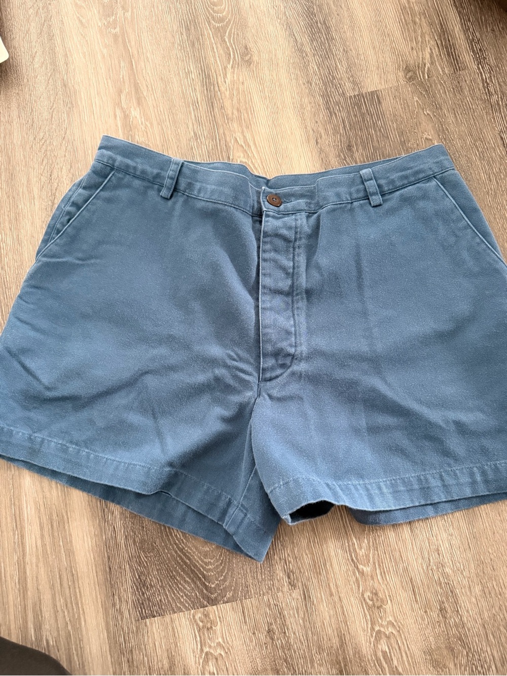Patagonia Classic Blue Cotton Shorts